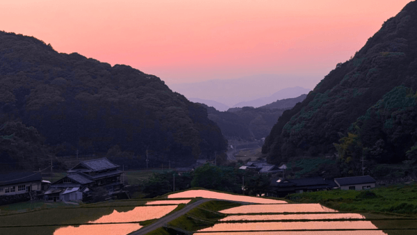 【鬼木の田んぼ】<br />鬼木の田んぼを歩くのが好きです。季節ごとの景色や、カエル・ホタル・カニ・サギ、草むらを走る猫やタヌキにも出会えます。晴れの日も雨の日も、空や山、風の感じ方も毎回違っていて、それがとても面白いです。のんびり歩いていると、自然と深呼吸したくなりますし、毎回「わあ！」と思う何かに出会って、つい写真を撮ってしまいます。