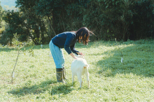 天気の良い日に動物たちを眺める時間。きらきらで、どの子も3倍増しでかわいく見えます。